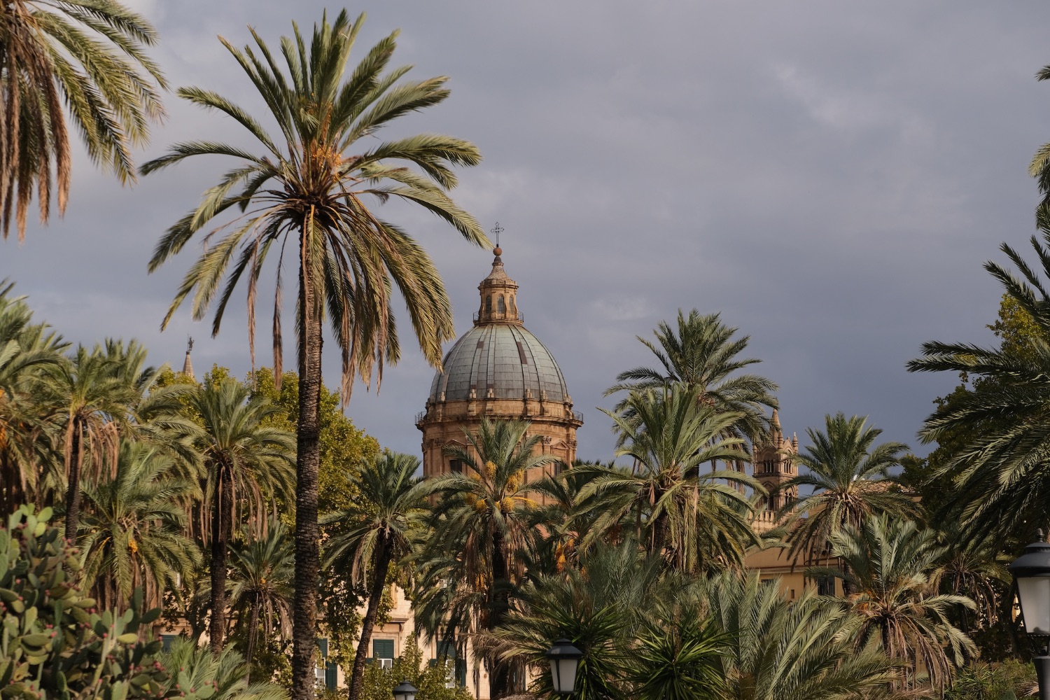 Exotic Palermo