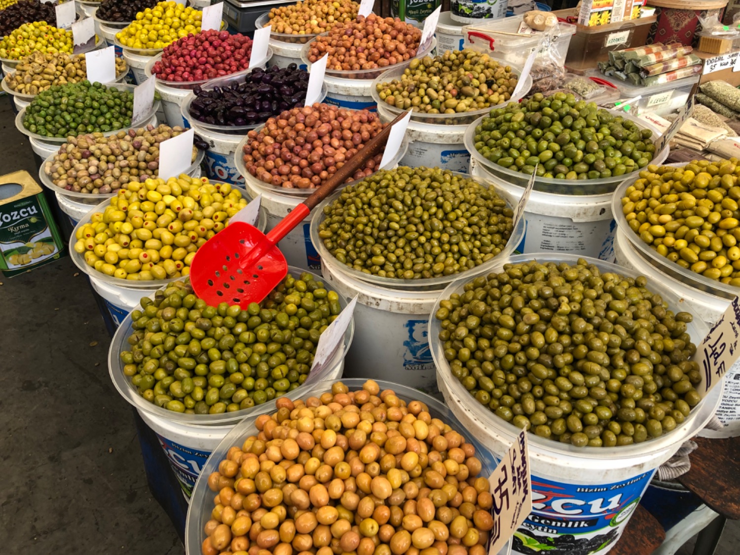 Olives in many colours