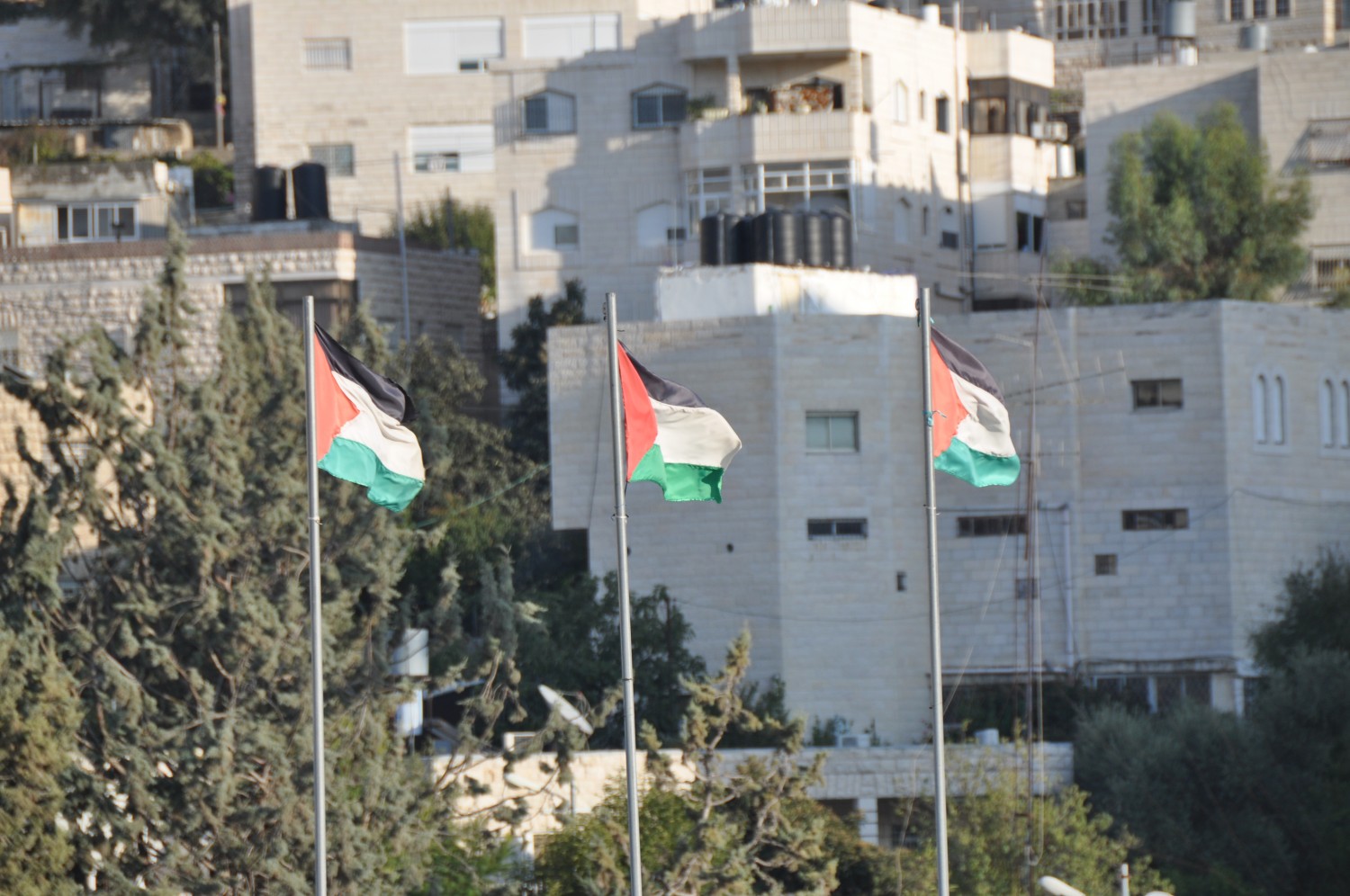 hebron-palestine-flags.jpg