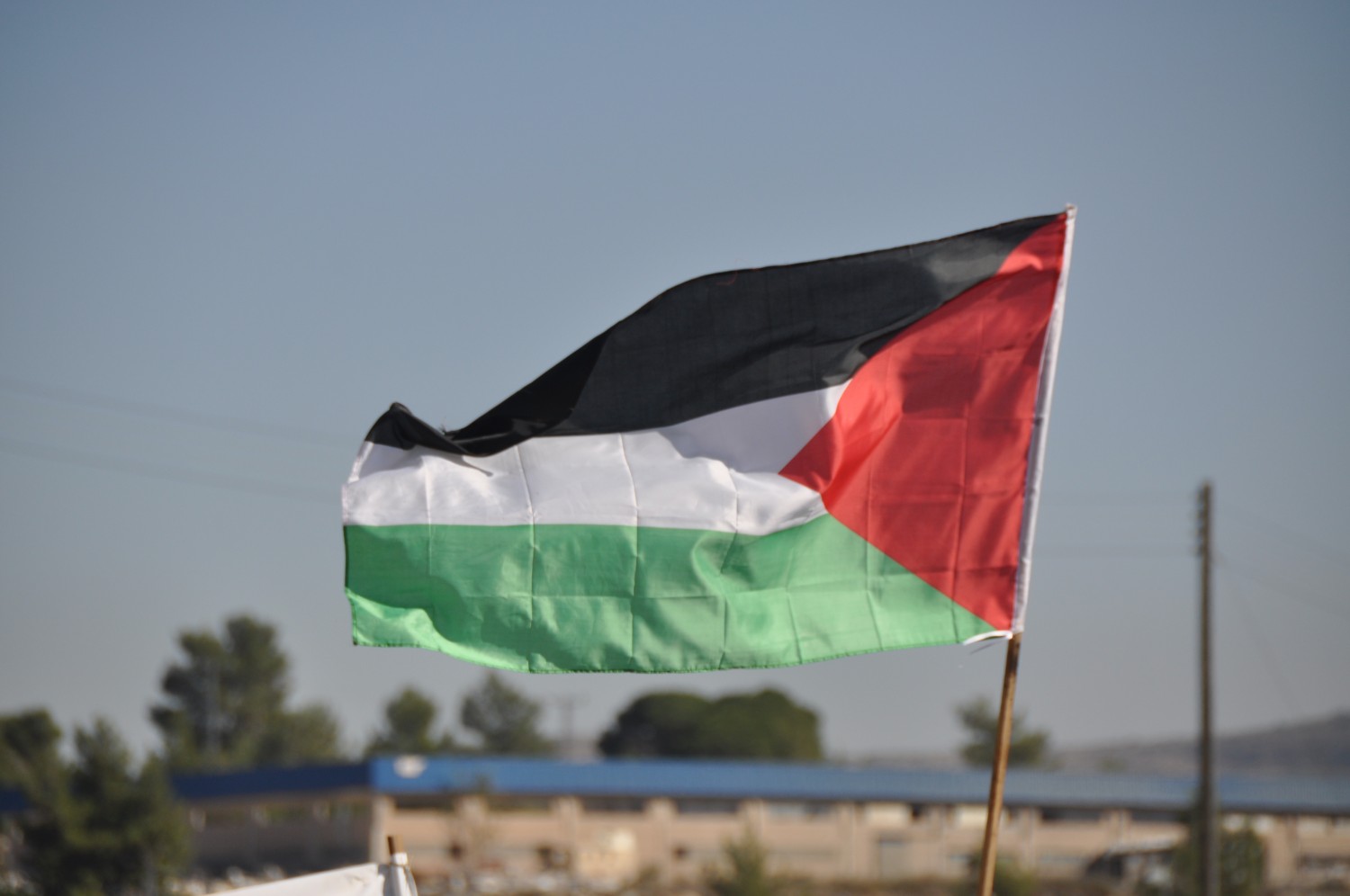 Nabi Saleh Palestinian flag