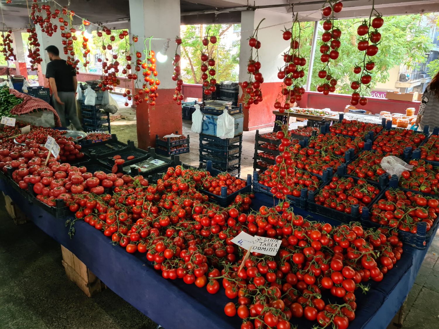 No shortage of tomatoes in this bazaar