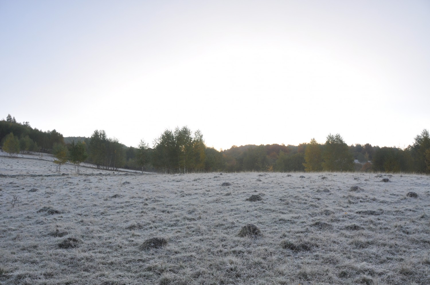 The frozen field